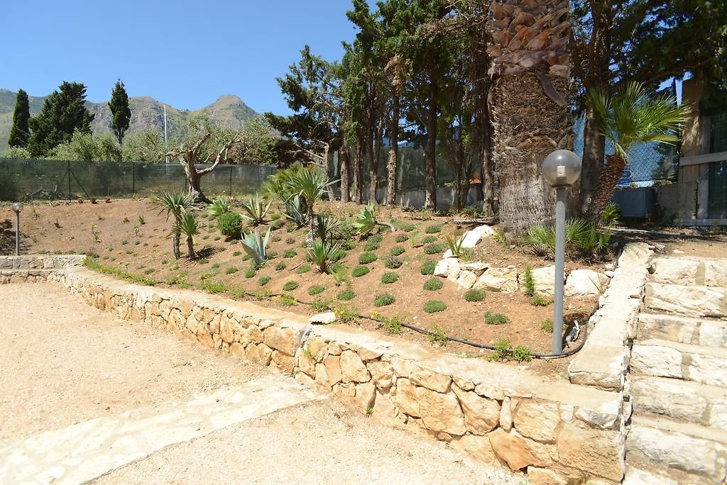 Castellammar del Golfo Sicily Sicilian Olive Groves