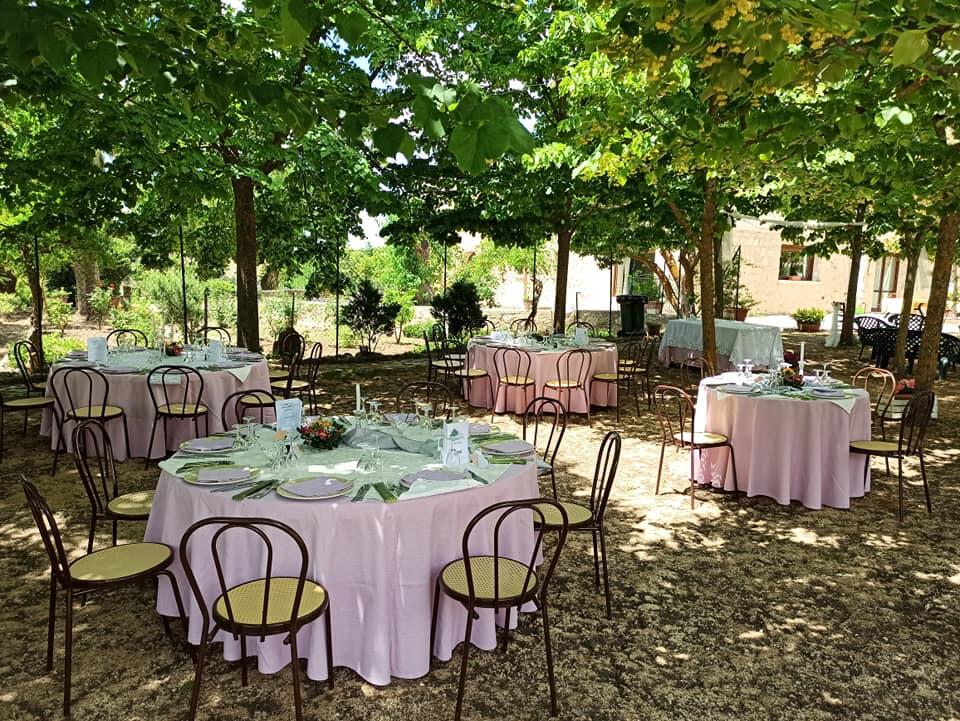 Olive Trees Planted in Palermo, Sicily as a Memorial and Celebrations