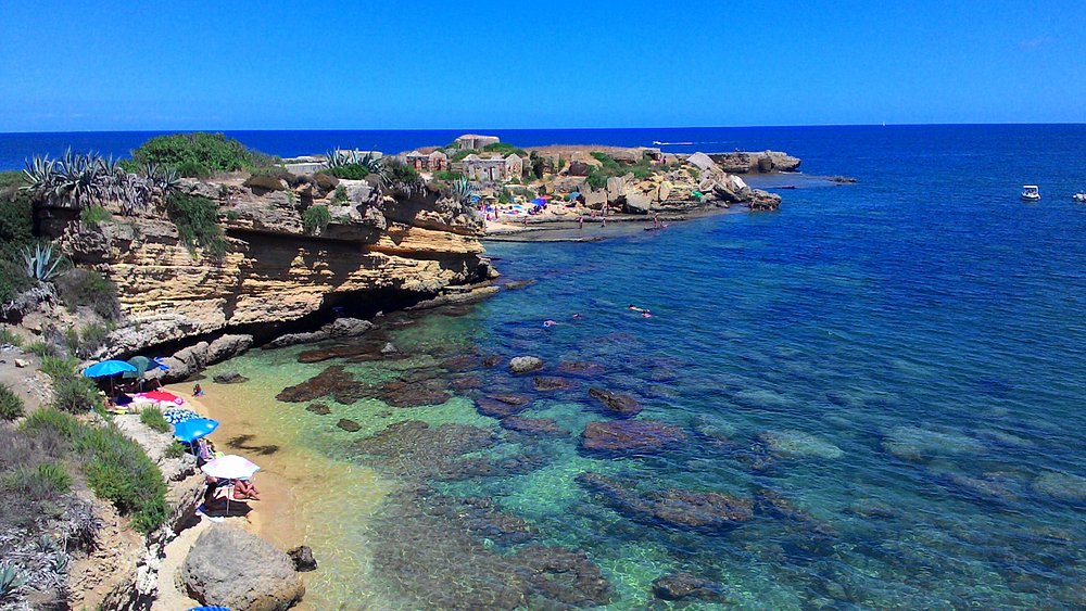 Buccheri Sicily Sicilian Olive Groves