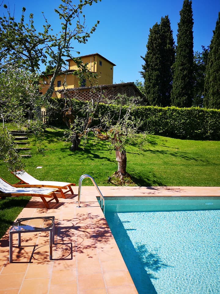 Tuscany Tuscan Olive Groves