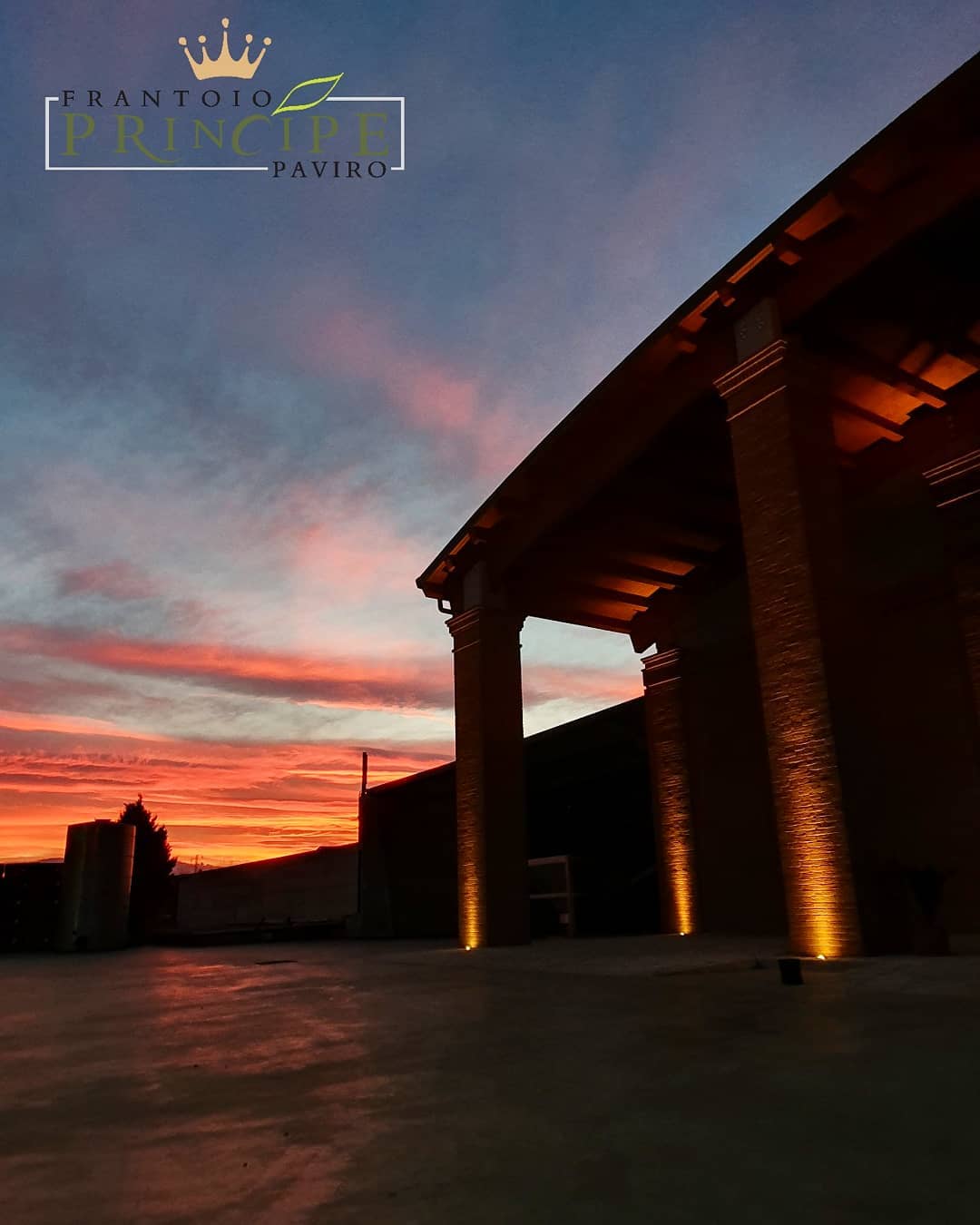 Apuglia Puglian Olive Groves