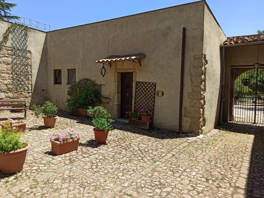 Villa Padura Sicily Olive Groves