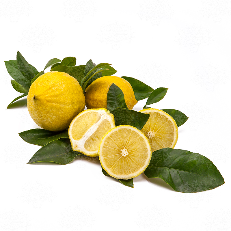 bergamont-detail-calabria